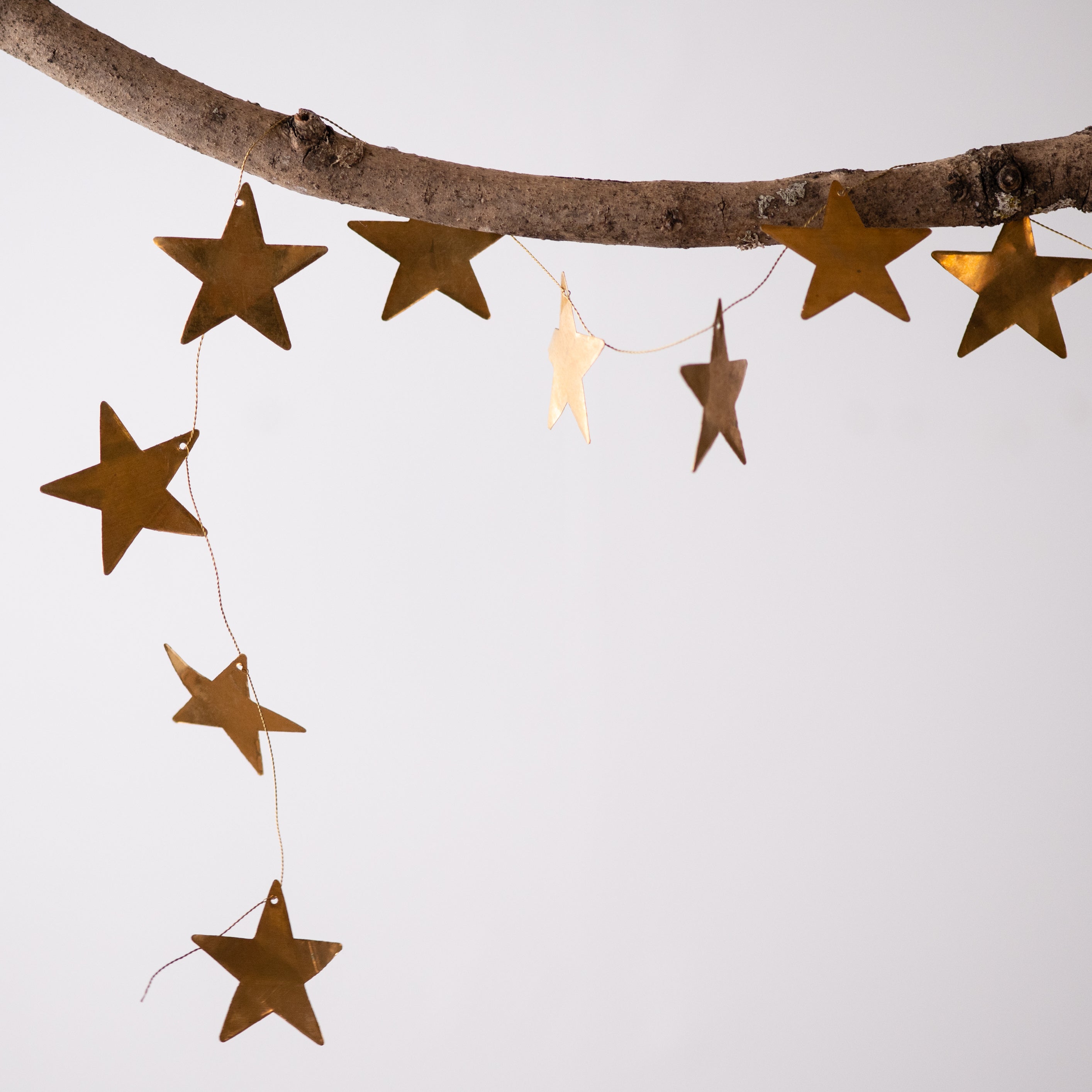 A sky full of stars