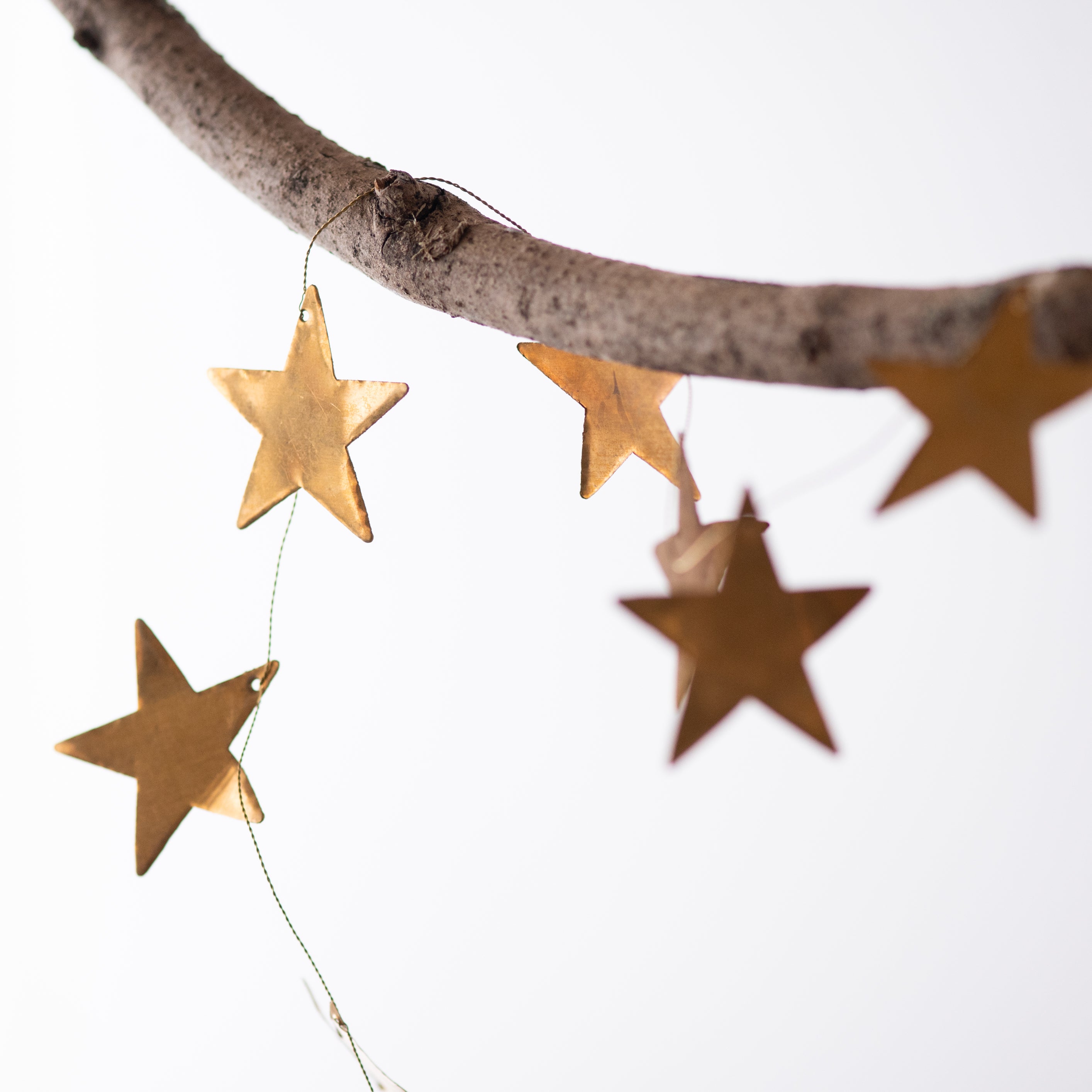A sky full of stars