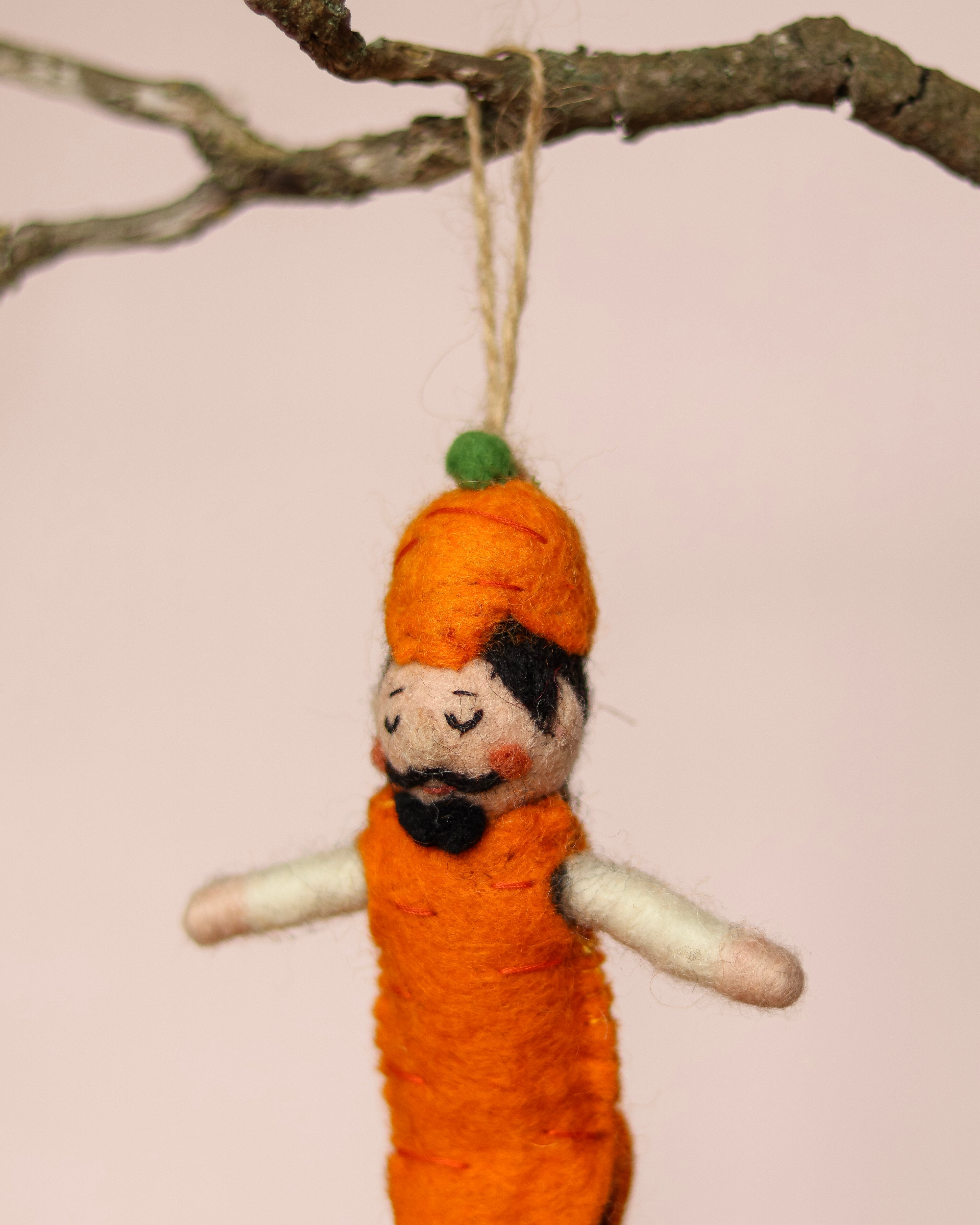 Carrot man Cecil